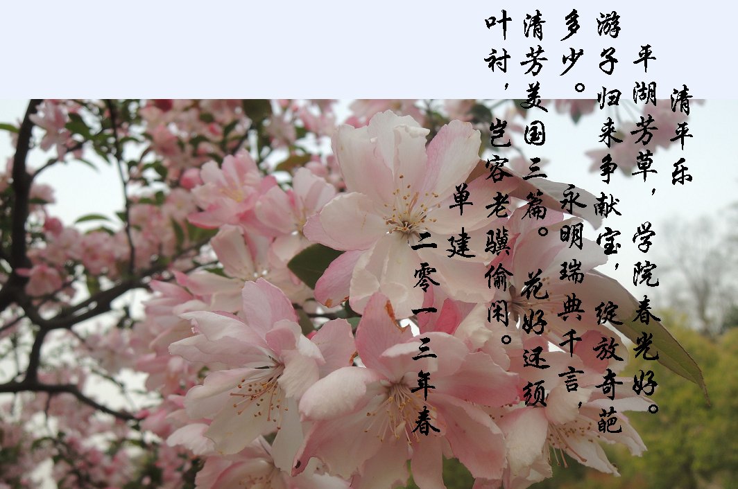 单建教授——清平乐